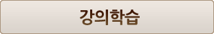강의학습